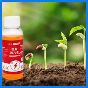 식물 뿌리 강화제 장미용 식물 보충제 50ml 뿌리 뽑기 촉진 식물 뿌리 부스터 이식용 뿌리 강화제 보충제