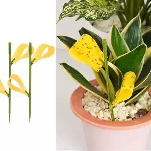 초파리 노랑 끈끈이 10세트 뿌리파리 트랩 노란 화분 날파리 바퀴