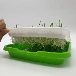 새싹채소 재배트레이 식물키우기 용기세트