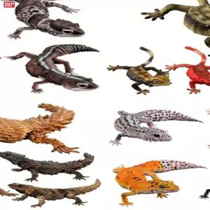 리얼 도마뱀 파충류 피규어 사실적인 렙티 모형 게코 레오파드 교육용 컬렉션 장식 소품