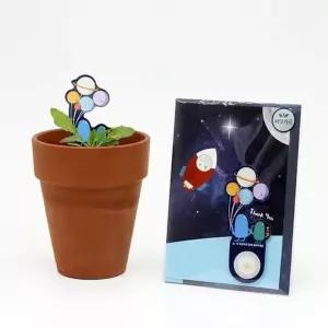 새싹키우기세트 관찰학습 민들레 씨앗 새싹키우기관찰 (WFJ736U)