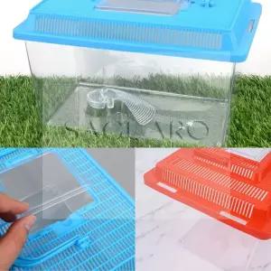 SG 곤충 채집통 소형 햄스터집 과학교구