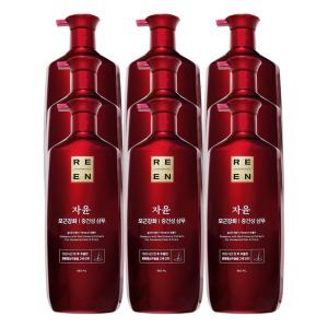 리엔 자윤 오리엔탈 모근강화 중건성 샴푸 950mL x 9개
