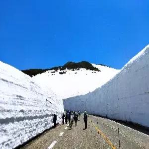 [부산출발]알펜루트/시라카와고/도야마 4일#알펜루트완주 #시라카와고 #최고 가성비 #히코네성 #핵심 일정