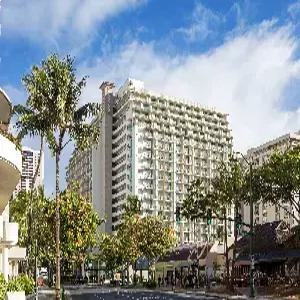 하와이 7일 #힐튼가든인 #시티뷰 #1일관광 #체크인전알찬일정 #인생샷포인트