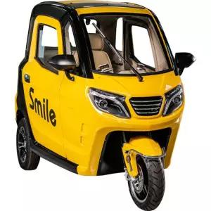 평안모터스 스마일 3륜 소형 전기차 전동차 스쿠터 노인용 이동용 배달용 번호판부착가능(C)