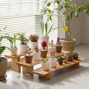 화분 식물 3단 통원목 계단식진열대 소 중 대카페 인테리어 세니데코 마호가니 방수코팅