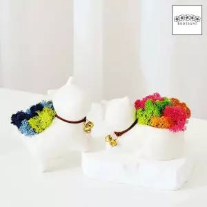 공기정화식물 스칸디아모스 화분세트 천연이끼 집들이 선물 2색 댕냥이 스킨디아모스 공기청정