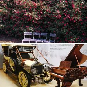 [제주] 카멜리아힐+세계자동차&피아노박물관 입장권 / 실내관광지 미디어아트