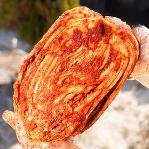 [대한민국농수산] 100% 국내산 배추김치 포기김치 총각무 2/4/8/10kg