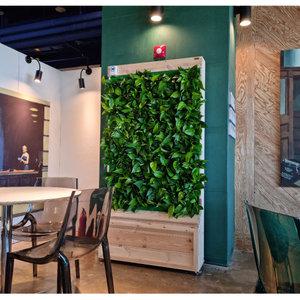 버티컬가든 천연가습기 공기청정기 가습기 수직정원 벽면녹화 그린윌 벽식물 실내조경 실내정원
