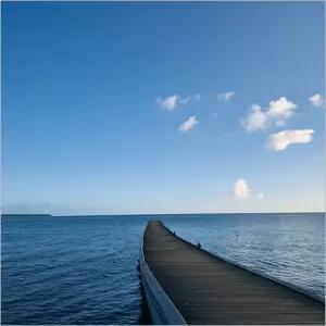 괌켈리네 괌 조인 남부투어