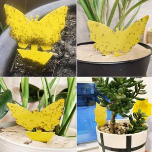 꽂이식 화분벌레퇴치 끈끈이 1p 트랩 해충잡이 식물 노란 깍지 날파리 해충 원예 화초