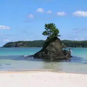 대마도 2일 #쓰시마링크호 #히타IN-이즈OUT #이즈하라시내호텔 #BBQ특식 #아유모도시자연공원 #꽉찬일정