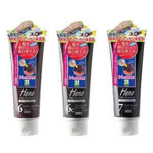 텐스타 헤나감성 컬러 트리트먼트 린스 헤어 새치 염색 팩