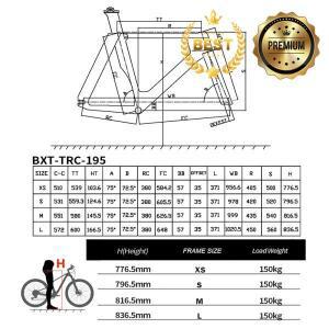 BXT 뉴 카본 트랙 프레임 픽시 자전거 파이버 TRC-195 싱글 스피드 700Cx28C