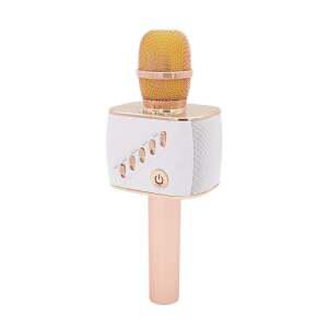 휴대용 블루투스 무선 마이크 가정용 노래방 에코