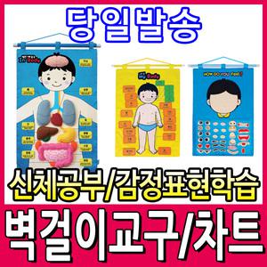 [문구티쳐] 청양토이 벽걸이교구/벽걸이차트/소중한나의몸속/누리과정/감정학습/펠트교구