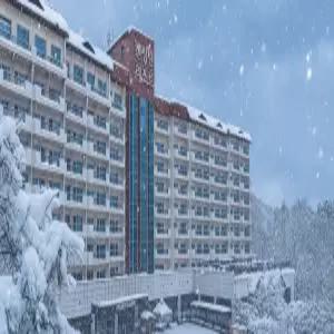 [충북] 켄싱턴리조트 충주 (애견동반)(충북호텔/충주호텔/충주켄싱턴리조트 충주 (애견동반))