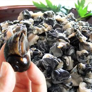 쫄깃쫄깃 신선한 국내산 왕 우렁이 1kg