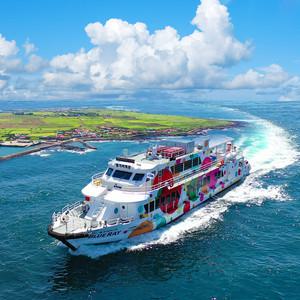 [제주] 가파도정기여객선+혜택 (낙타트래킹,족욕,조안베어 체험) / 가파도 마라도 여객선 청보리 축제