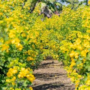 [제주] 비체올린 테마파크 / 제주도 카약체험 드리프트 트라익