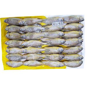 조은상사 냉동 참조기 61-63 3.6kg 1박스 62미내외 굴비 조기 냉동조기