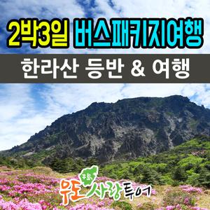 제주도여행/한라산등반포함/숙소포함/1박2일/2박3일/우도사랑투어