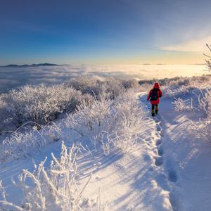 [강원] 리무진버스 - 태백산 눈꽃트래킹 당일여행