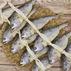 [바르다] 영광보리굴비 특大 10미 31~32cm