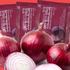 빨간 양파즙 110ml 110포