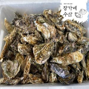 신선함이 다르다!통영생굴 석화10kg,5kg 각굴 석굴  당일생산 최상급 하프셀 반각굴 1단~3단