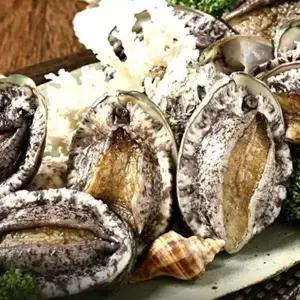 푸릇푸릇 완도 전복선물세트1kg(9~10미)