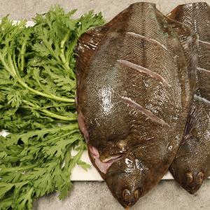 제철 자연산 봄 도다리세꼬시 숭어회 도다리쑥국 손질발송 당일어획