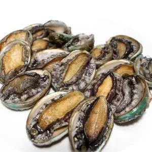 완도직송 완도 꼬마전복 1kg(40~50미내외)