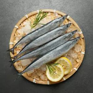 비비수산 꽁치 1kg(8-11마리내외)