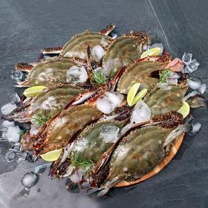 싱싱한 국내산 급냉 꽃게 숫꽃게 3kg[중~특사이즈]