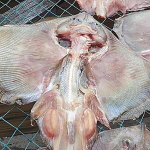 녹동수산 반건조 자연산 간재미(특대)2미(30cm내외)