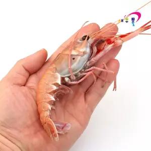 선동 횟감 딱새우(대) 1박스 16kg내외