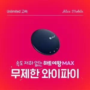국내 앨리스와이파이 KT SKT 완전무제한 30일 국내 휴대용 포켓 와이파이 에그