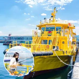 [제주] 성산포유람선 우도선상낚시 / 제주도 유람선 배낚시 낚시체험