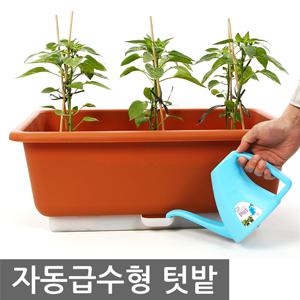 국산 자동급수형 텃밭 화분 초화박스 화초 수반 채소재배 대형화분 원예 다육 플라스틱 받침대