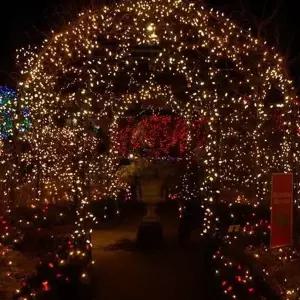 [셀러허브][도토로]은하수 300구 녹색선 LED 웜색 지니전구(30M) (전원잭포함) (S7734719)