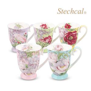스테콜 레이디엠마 머그 5P / 도자기머그컵 세트