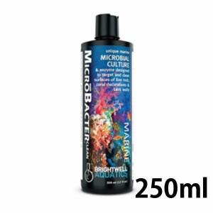 브라이트 웰 마이크로박터 클린 [250ml] 이끼제거