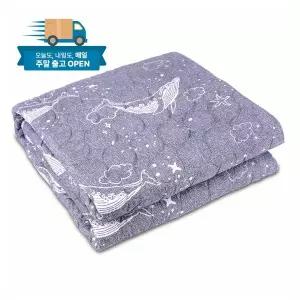 [대진전자]대진 전기요/EMF/무자계/타이머 DEB-259S