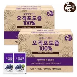 포도즙 100포×2박스 실속형