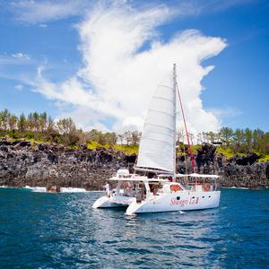 제주도 요트투어 아이바가든 카멜리아힐 숨도 사려니숲길 섭지코지 럭셔리힐링 3박4일