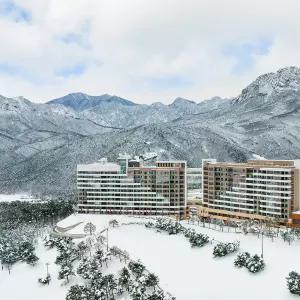 소노펠리체 델피노 or 소노펠리체 빌리지 델피노 조식 오션플레이 패키지 소노호텔앤리조트 고성 (설악) 룸온리