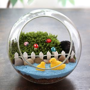 이끼 키우기 테라리움 DIY 만들기 키트 - 유리병속 작은 이끼정원